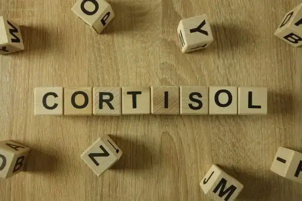 The Hidden Connection: How Stress Shapes Your Fitness and Body Composition 2 Image saying "Cortisol" and how stress Farnham impacts your wellbeing and bodies shape